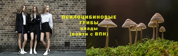 герыч Арсеньев