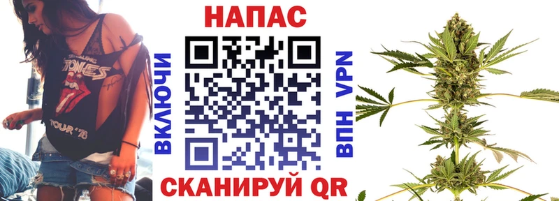 МАРИХУАНА конопля Звенигово